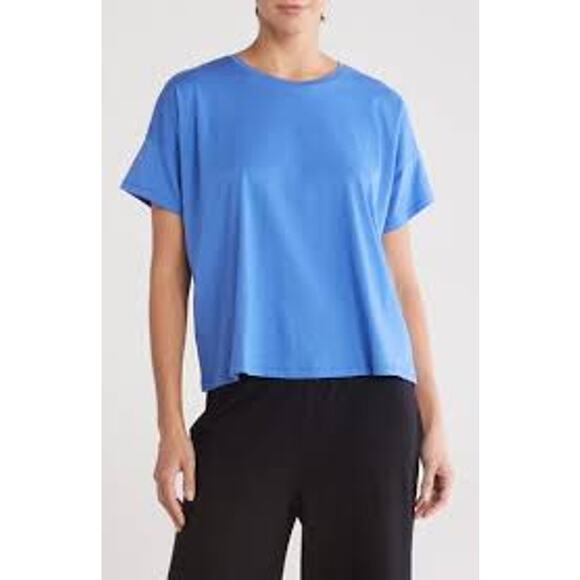 Eileen Fisher Blue Organic Cotton Crewneck Boxy T-Shirt Size Extra Large - Picture 1 of 8